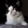 peachfuzz202